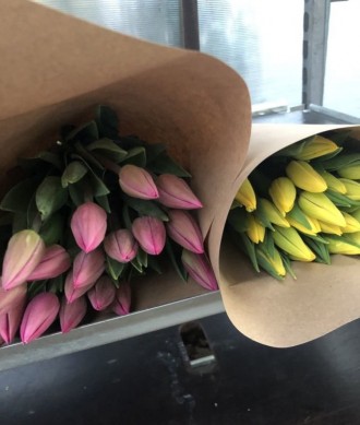Купить тюльпаны на 8 марта оптом с Голландии.
Высота 40-50 см, вес 28+гр.
Дост. . фото 8