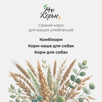 Каша злаковая для собак ТМ ProKorm. Дніпро. фото 1 Каша злаковая для собак ТМ ProKorm. Дніпро. фото 1