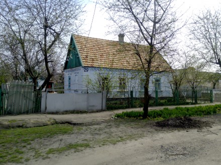 Продается дом в г. Молочанск. Площадь дома 65 м2 (9,9*6,51м) Дополнительные пост. . фото 3