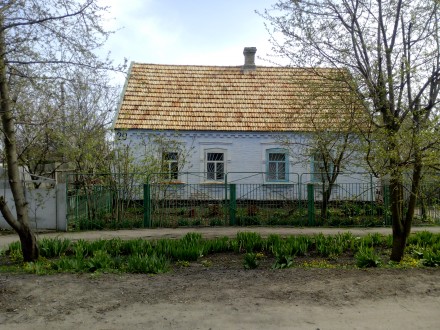 Продается дом в г. Молочанск. Площадь дома 65 м2 (9,9*6,51м) Дополнительные пост. . фото 4