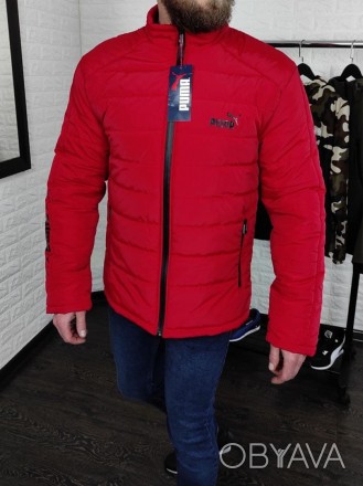 Артикул: 1961
Куртка мужская демисезонная красная
Размеры: M,L,XL,XXL,XXXL ( пол. . фото 1