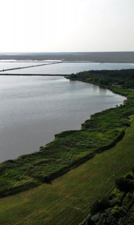 Продам земли  – 1,5 га в с. Базалиевка – на берегу водоема. Чугуїв. фото 1