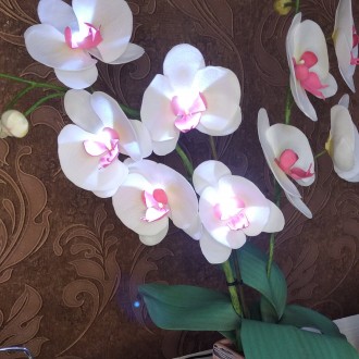 Светильник орхидея ручной работы!необычный и красивый подарок для любимых, удеви. . фото 5