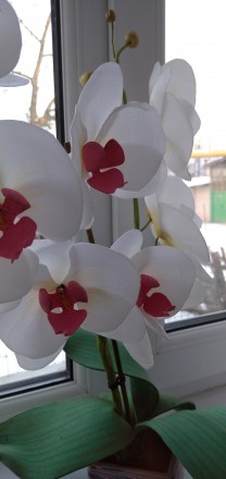 Светильник орхидея ручной работы!необычный и красивый подарок для любимых, удеви. . фото 2