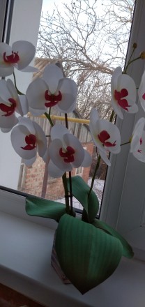 Светильник орхидея ручной работы!необычный и красивый подарок для любимых, удеви. . фото 3