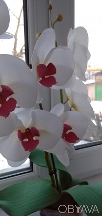 Светильник орхидея ручной работы!необычный и красивый подарок для любимых, удеви. . фото 1