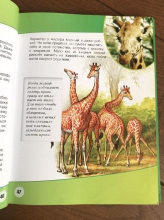 Эта прекрасно иллюстрированная занимательная энциклопедия предназначена для дете. . фото 7