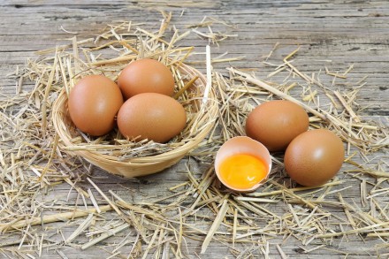 Продаю яйца от своих домашних курей
Выращиваются на натуральных кормах

Самов. . фото 2