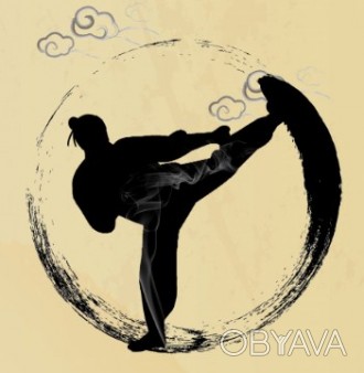 Школа Кунг-фу Шаолинь и Винчун, цигуна и Тибетской йоги. Набор новой группы. Зал. . фото 1