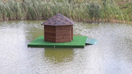 Ми пропонуємо будинки для качок, лебедів на воді.
 відмінної якості різних конс. . фото 3