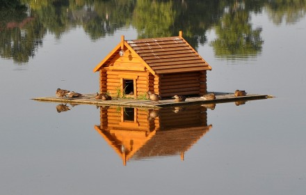 Ми пропонуємо будинки для качок, лебедів на воді.
 відмінної якості різних конс. . фото 5