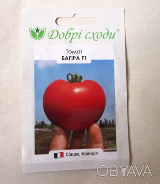Продам насіння середньораннього низькорослого гібриду Багіра F1. Плоди округло-п. . фото 1