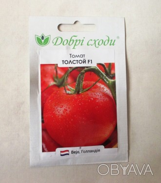 Продам насіння раннього високорослого гібриду томату Толстой F1. Вирощується в с. . фото 1