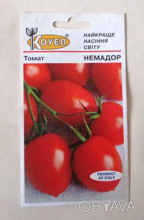 Продам насіння раннього сорту томату Немадор. Вегетаційний період 58 днів від ви. . фото 1