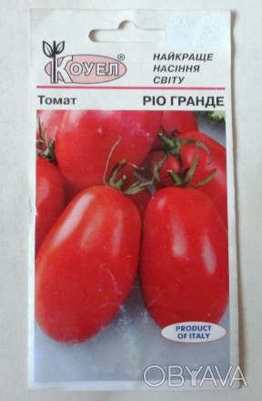 Продам насіння середньораннього детермінантного сорту томату Ріо Гранде. Вегетац. . фото 1