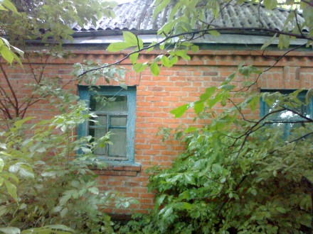 Продам будинок, ділянку 43 с. в с. Гайшин, Переяслав-Хмельницький р-н. Гайшин. фото 1 Продам будинок, ділянку 43 с. в с. Гайшин, Переяслав-Хмельницький р-н. Гайшин. фото 1