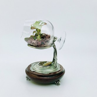 Флорариум Фитония в бокале, размер: 23х15см., Фитония розовая, наполнение, декор. . фото 3