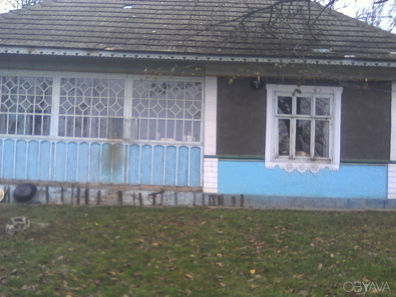 костюм фруктового сада
