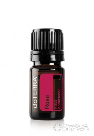 Rose ESSENTIAL OIL / Роза, эфирное масло, 5 мл
