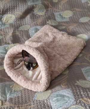  Мягкий и очень теплый домик-нора (мешок) для кота или маленькой собачки. П. . фото 2