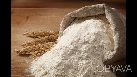 Купить муку оптом. Мука ржаная, пшеничная мука