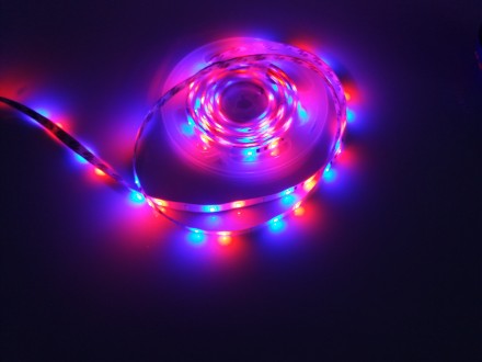 Влагозащищенная светодиодная лента RGB LED Strip SMD 3528                       . . фото 2