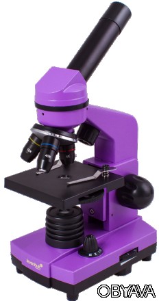 Яркий микроскоп LevenhukRainbow 2L Amethyst\Аметист сделает занятия по биологии . . фото 1