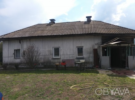 продам дом в селе Киселевка Черниг.обл.