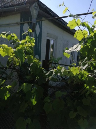 Продается дом в с. Вольное (56 км от г. Днепр), Синельниковский р-н.
Все коммун. . фото 2
