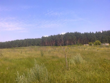 Продам 3 га земли ОСГ, тихое, живописное место. Чугуїв. фото 1