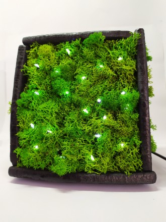Рады представить эксклюзивный ночник ручной работы Moss.

Он выполнен из натур. . фото 3