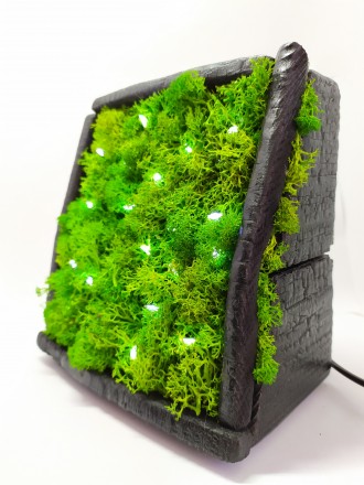 Рады представить эксклюзивный ночник ручной работы Moss.

Он выполнен из натур. . фото 2