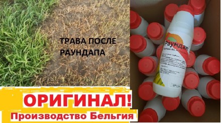 Гербицид Раундап - очень мощное средство от сорняков. Запоріжжя. фото 1 Гербицид Раундап - очень мощное средство от сорняков. Запоріжжя. фото 1