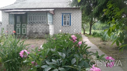 Продам деревянный дом обложенный кирпичем в с.Сухиня земельный участок 0, 2464 г. . фото 1