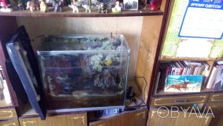 Как-то очень давно батько мой приобрёл аквариум, однако в последние годы за ним . . фото 1