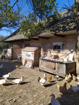 с. Лосятин. Продам будинок 84м/60сот для постійного, або сезонного проживання.. . фото 6 Жити за містом, в спокійному, затишному місці, мрія багатьох людей. Ваша мрія м. . фото 6