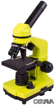 С микроскопом Levenhuk Rainbow 2L Lime Лайм учеба будет приносить удовольствие! . . фото 1