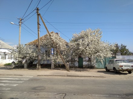 Дом с участком на главной улице, Матвеевка, Николаев. Миколаїв. фото 1