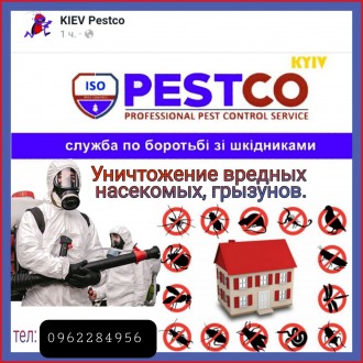 Знищення клопів, тарганів, молі та інших комах.. Киев. фото 1 Знищення клопів, тарганів, молі та інших комах.. Киев. фото 1