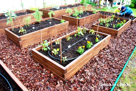 Декоративный огород, ограждения для клумб, комплект для создания высокие грядки. Киев. фото 1