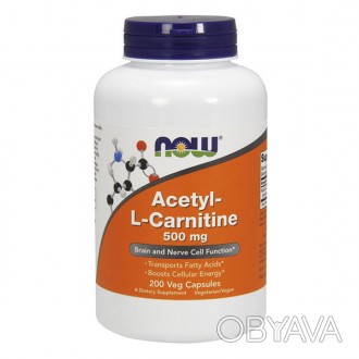  NOW Acetyl-L-Carnitine биологически активная добавка, для поддержки и восстанов. . фото 1