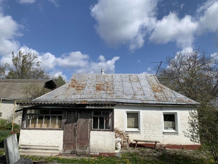 Продам будинок біля Канєва, в селі Пекарі на березі Дніпра. Будинок газифіковани. Канев. фото 5