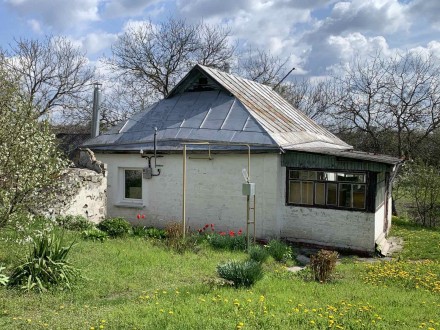Продаю газифікований будинок в селі Пекарі, 5 км від міста Канів, Черкаської обл. Канев. фото 7