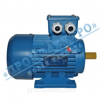 Электродвигатель трехфазный 0,37 кВт 1500 об/мин АИР 63B4  Лапа. Коломыя. фото 1