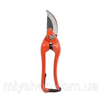 RG LINE Секатор садовый 8" - PROFI - нержавеющая сталь, KT-RG1027/8. Лубны. фото 1 RG LINE Секатор садовый 8" - PROFI - нержавеющая сталь, KT-RG1027/8. Лубны. фото 1