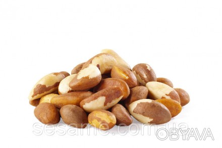 Общее описание Бразильский орех (лат. Bertholletia) – это один из наиболее крупн. . фото 1