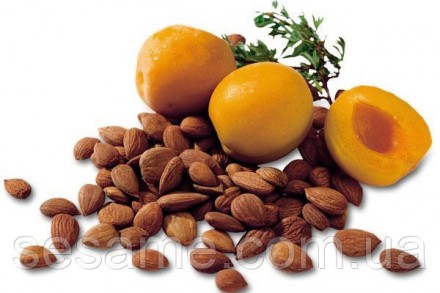 Одним из наиболее популярных летних фруктов является абрикос Дозревший фрукт име. . фото 3