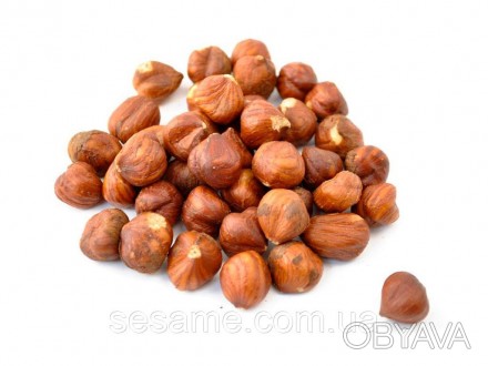 Фундук - плоды лещины крупной, или ломбардского ореха. Плод (орех) окружен длинн. . фото 1