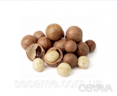 Макадамия – высококалорийный австралийский орех. Этот вид орехов считается самым. . фото 1
