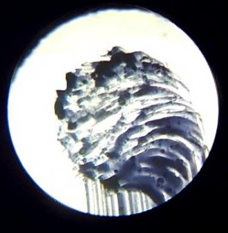 Оптический микроскоп «Натуралист» 60x предназначен для любопытных, п. . фото 7